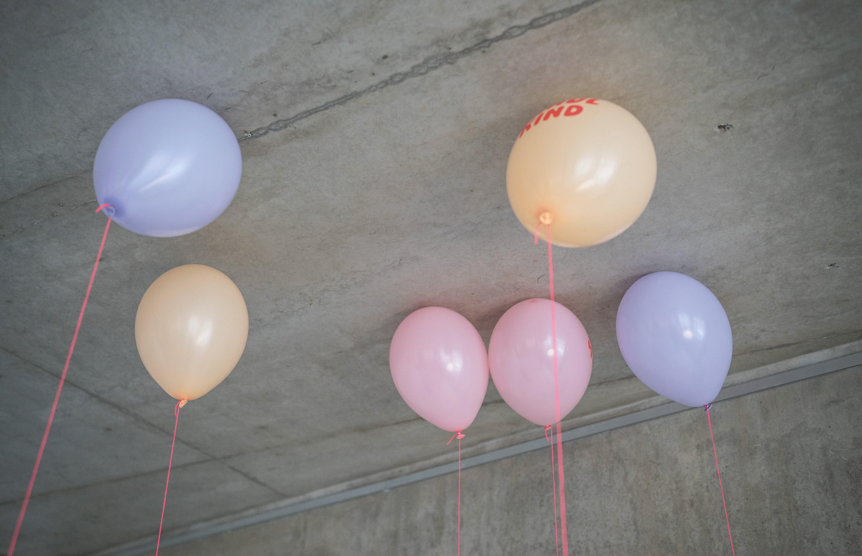 Schulkind Luftballon 6er Set | roas-Mix | 5 Stück: Normaldruck